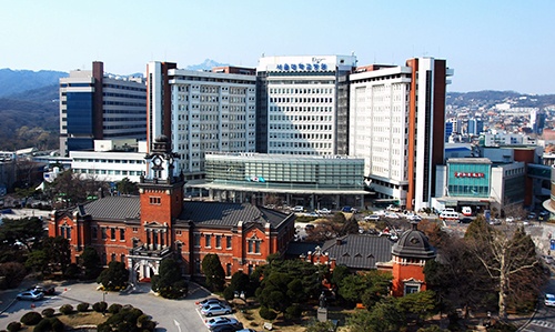 서울대 병원